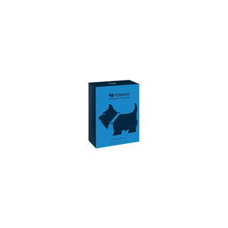 FERRIONI TERRIER FOR HIM FERRIONI 90 ML EDP