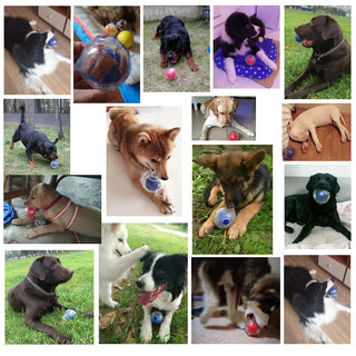 Pelota Chirriante CAITEC Amazing Squeaker