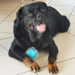 Pelota Chirriante CAITEC Amazing Squeaker