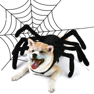 Disfraz de Araña para Halloween