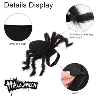 Disfraz de Araña para Halloween