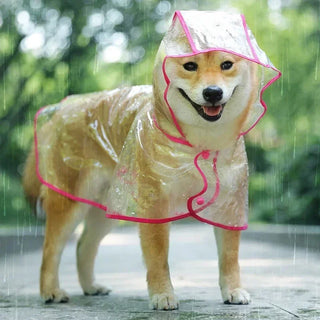 Chubasquero Impermeable con Capucha SHISHI