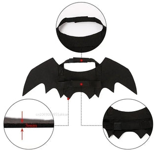 Alas de Murciélago para Halloween