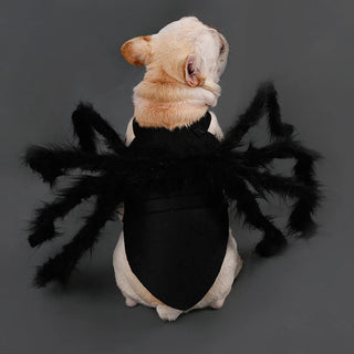 Disfraz de Araña para Halloween