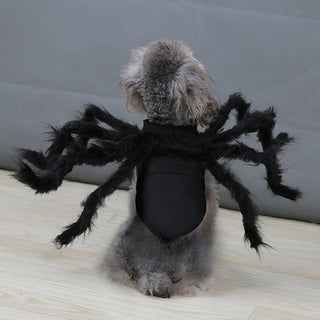 Disfraz de Araña para Halloween