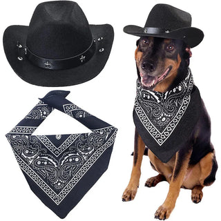 Set de Sombrero de Vaquero para Mascotas