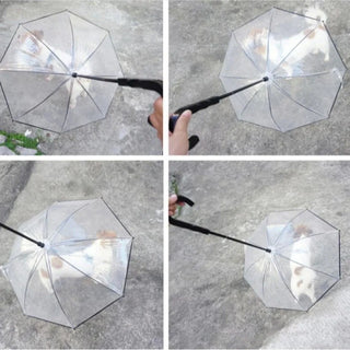 Paraguas Transparente para Perros Pequeños