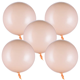 Set de 5 Globos Burbuja de Cristal Transparentes Bobo