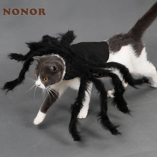 Disfraz de Araña para Halloween