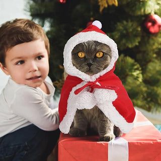Disfraz de Papá Noel para Mascotas
