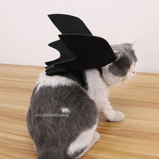 Alas de Murciélago para Halloween