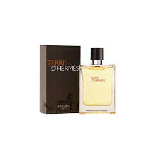 TERRE D HERMES HERMES 100 ML EDT
