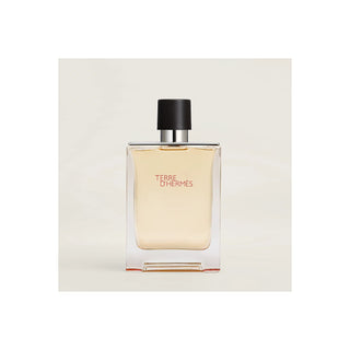 TERRE D HERMES HERMES 100 ML EDT
